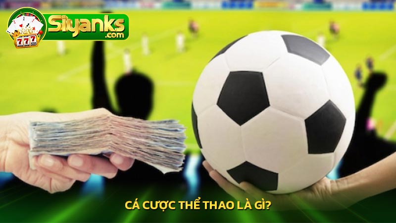 Cá cược Thể Thao là gì?